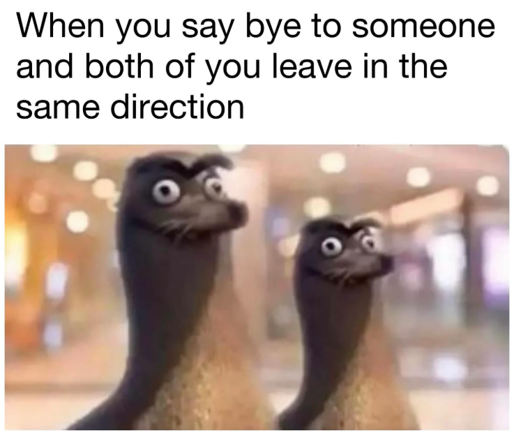 When you say bye to someone and both of you leave in the same direction