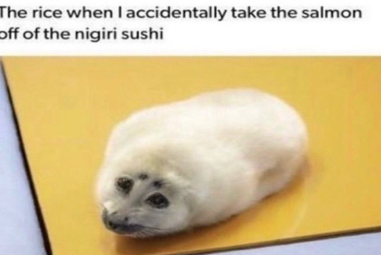 The rice when I accidentally take the salmon off of the nigiri sushi