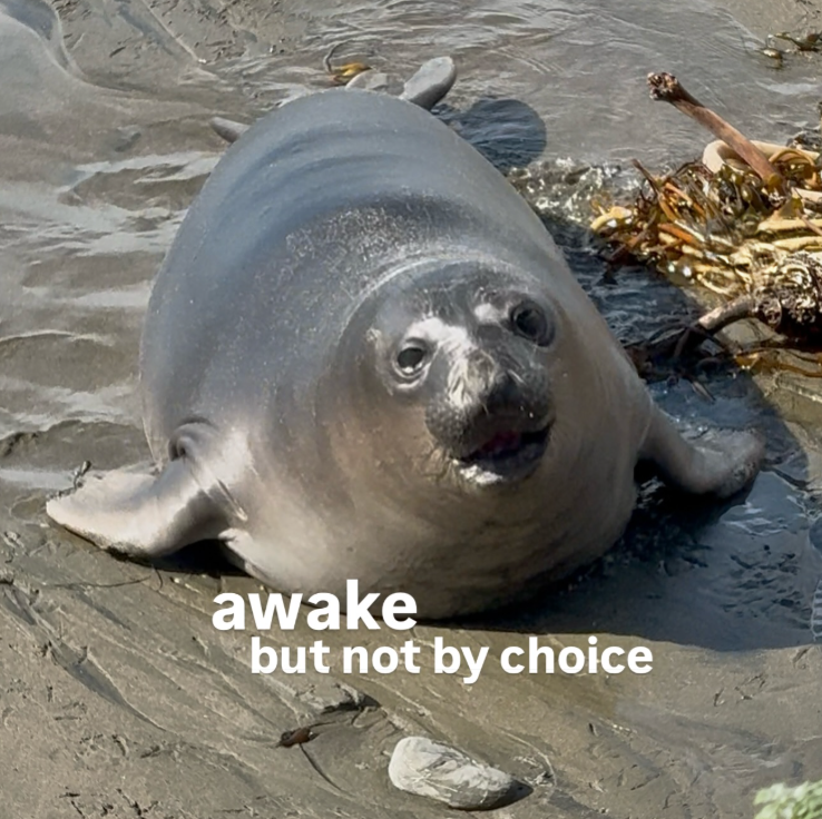 awake but not by choice