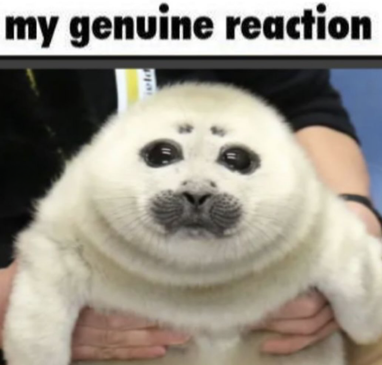 my genuine reaction