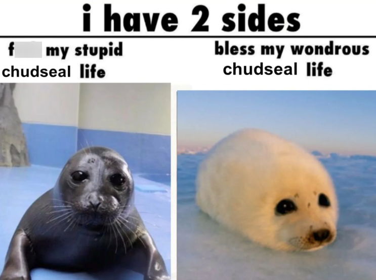 f i have 2 sides my stupid chudseal life bless my wondrous chudseal life