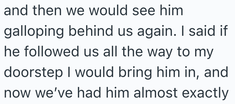 and then we would see him galloping behind us again. I said if he followed us all the way to my doorstep I would bring him in, and now we've had him almost exactly
