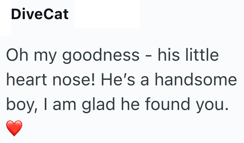 DiveCat Oh my goodness - his little. heart nose! He's a handsome boy, I am glad he found you.