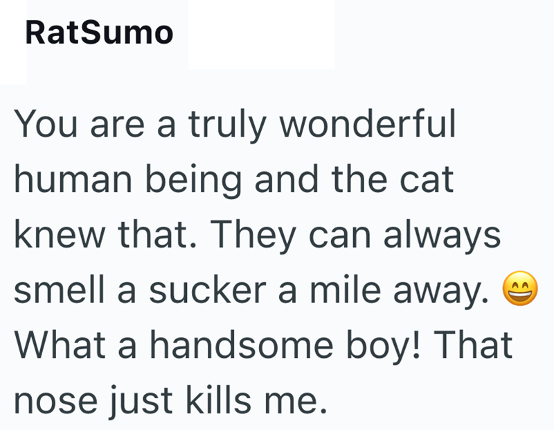 RatSumo You are a truly wonderful human being and the cat knew that. They can always smell a sucker a mile away. What a handsome boy! That nose just kills me.