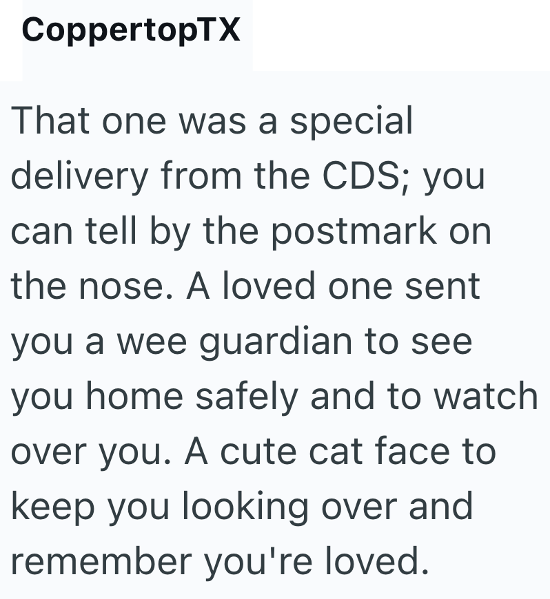 CoppertopTX That one was a special delivery from the CDS; you can tell by the postmark on the nose. A loved one sent you a wee guardian to see you home safely and to watch over you. A cute cat face to keep you looking over and remember you're loved.