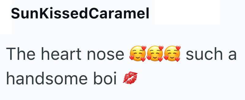 SunkissedCaramel The heart nose 666 such a handsome boi ☑