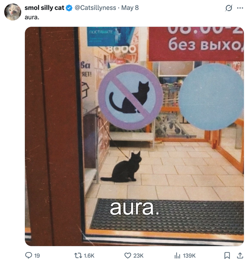 smol silly cat @Catsillyness May 8 aura. 0 ... NOCTAMATE B000 06.00-2 без выхо Ba ЯЕТ! aura. 19 1.6K 23K 139K