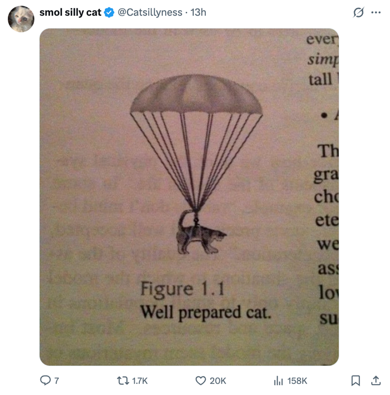 smol silly cat ❤ @Catsillyness • 13h ever simp tall Ø .. Th gra ch ete we as Figure 1.1 Well prepared cat. lo su Q7 tz 1.7K 20K Il 158K 1