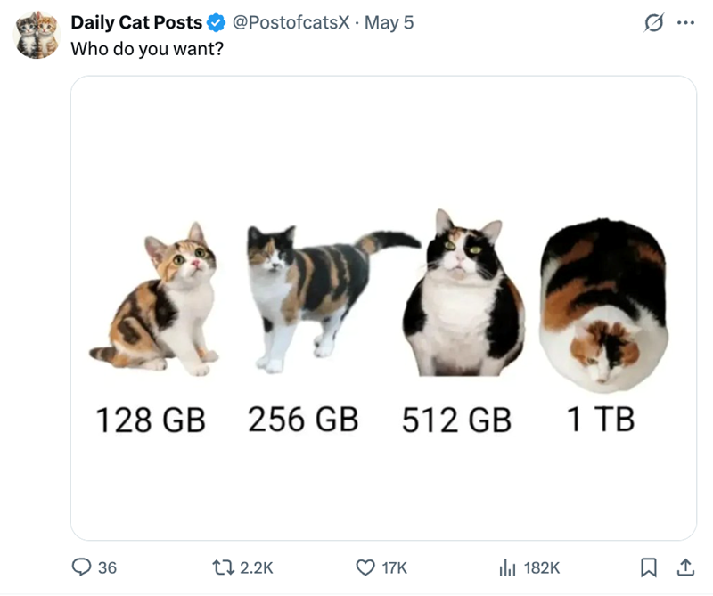 Daily Cat Posts Who do you want? @PostofcatsX • May 5 128 GB 256 GB 512 GB 36 t 2.2K 17K lil 182K 1 TB