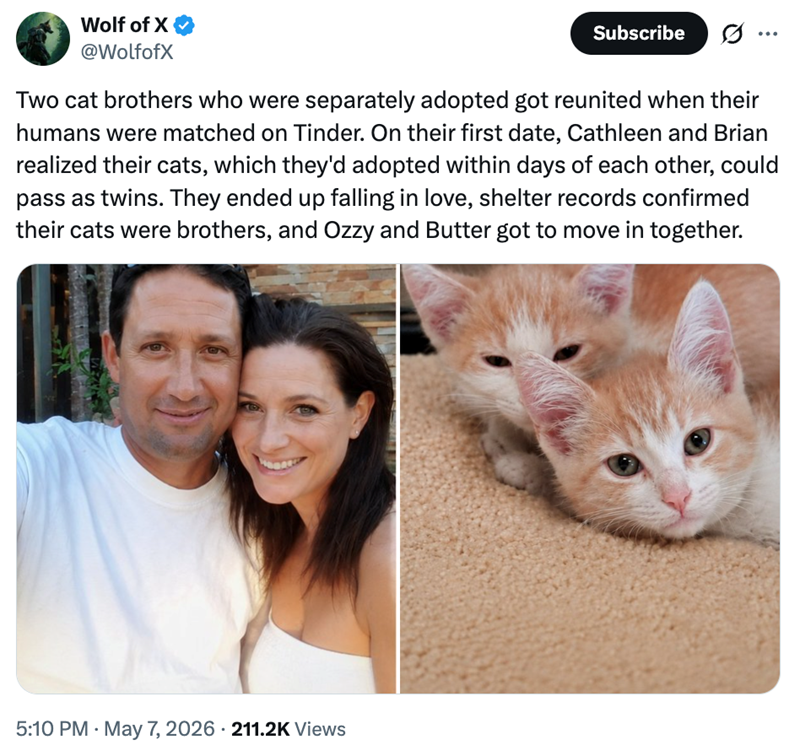 Wolf of X @WolfofX Subscribe Two cat brothers who were separately adopted got reunited when their humans were matched on Tinder. On their first date, Cathleen and Brian realized their cats, which they'd adopted within days of each other, could pass as twins. They ended up falling in love, shelter records confirmed their cats were brothers, and Ozzy and Butter got to move in together. 5:10 PM - May 7, 2026 211.2K Views