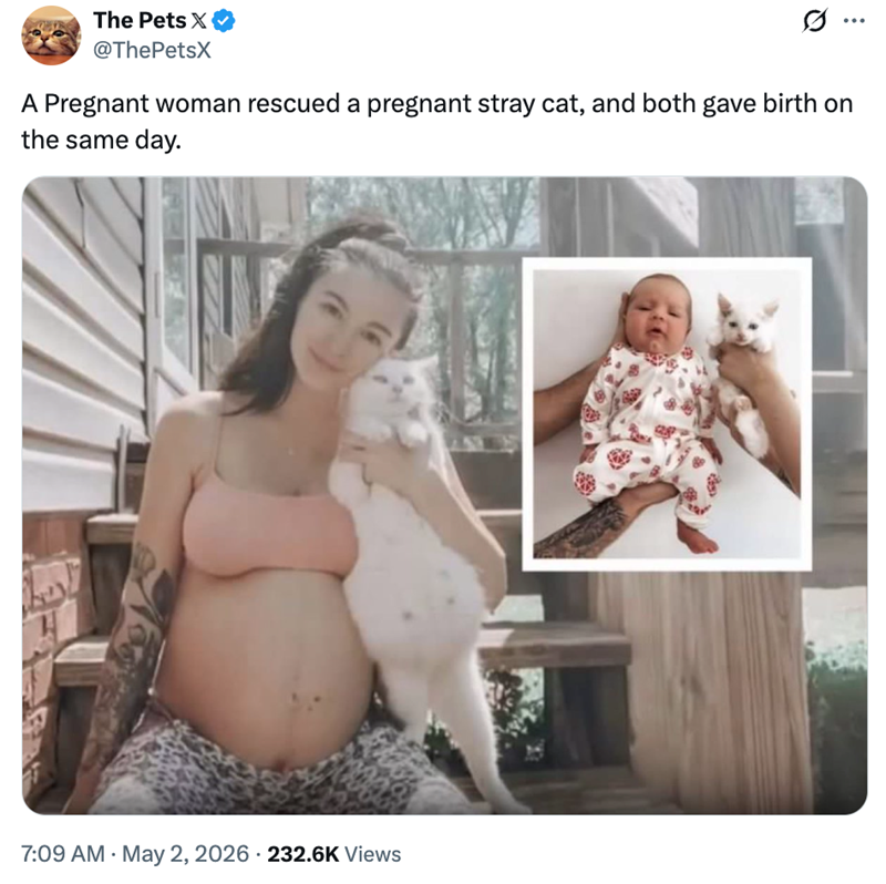 The Pets X @ThePetsX 10 A Pregnant woman rescued a pregnant stray cat, and both gave birth on the same day. 7:09 AM - May 2, 2026 232.6K Views