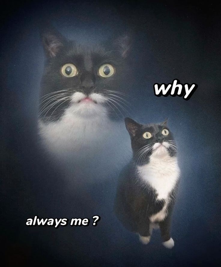 always me? why