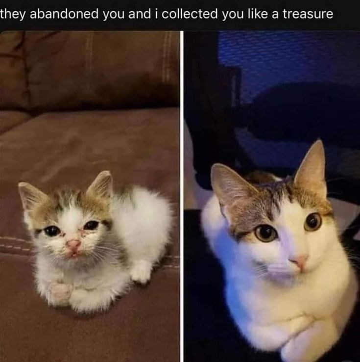 they abandoned you and i collected you like a treasure