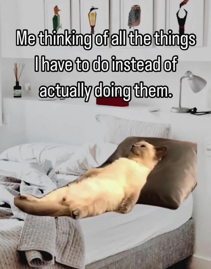 Me thinking of all the things I have to do instead of actually doing them.