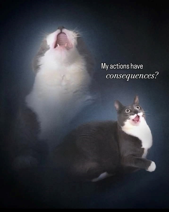 My actions have consequences?