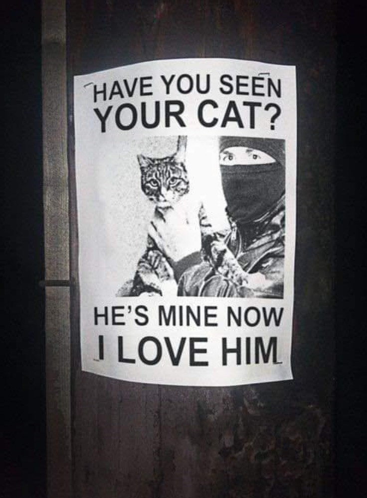 HAVE YOU SEEN YOUR CAT? HE'S MINE NOW I LOVE HIM
