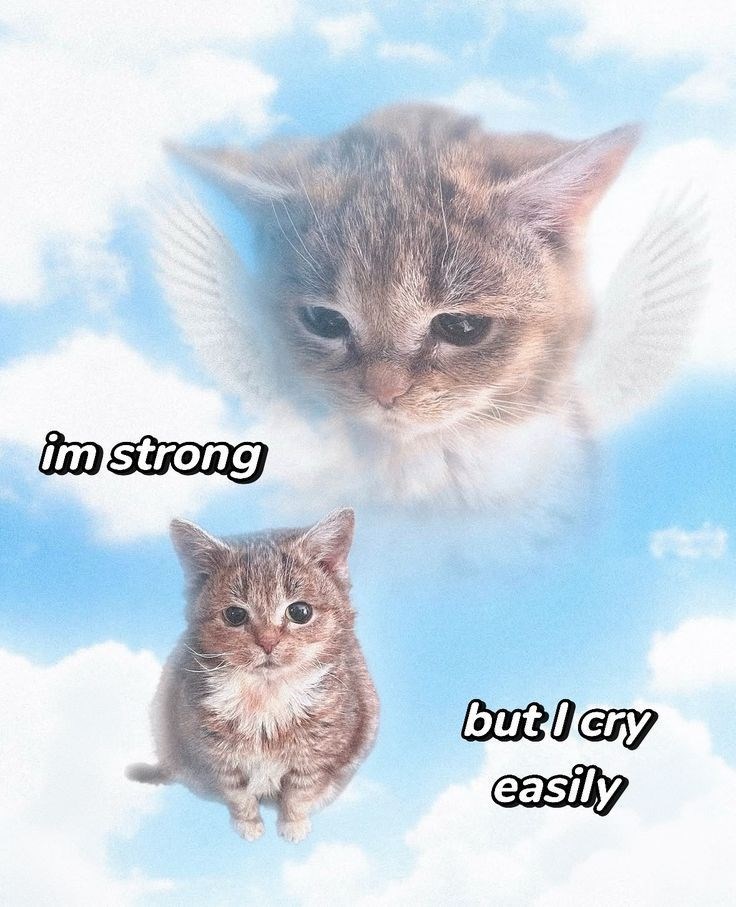 im strong but I cry easily