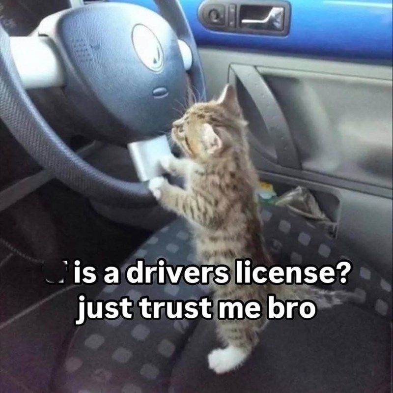 is a drivers license? just trust me bro