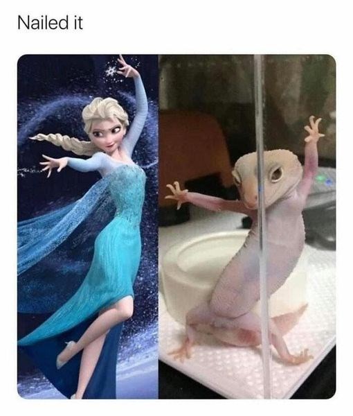 Nailed it