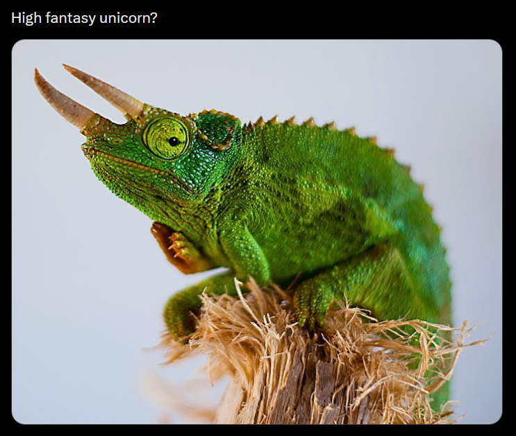 High fantasy unicorn?