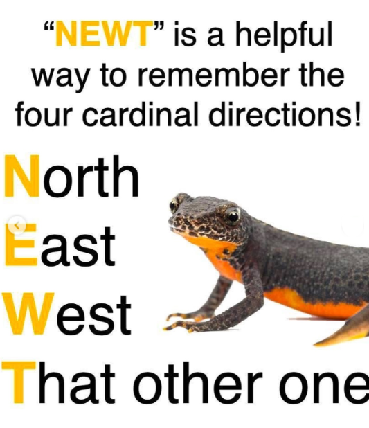 "NEWT" is a helpful way to remember the four cardinal directions! North East West That other one