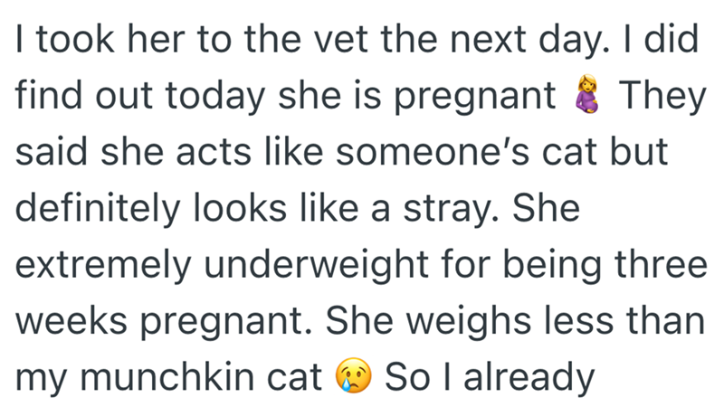 I took her to the vet the next day. I did find out today she is pregnant & They said she acts like someone's cat but definitely looks like a stray. She extremely underweight for being three weeks pregnant. She weighs less than my munchkin cat So I already