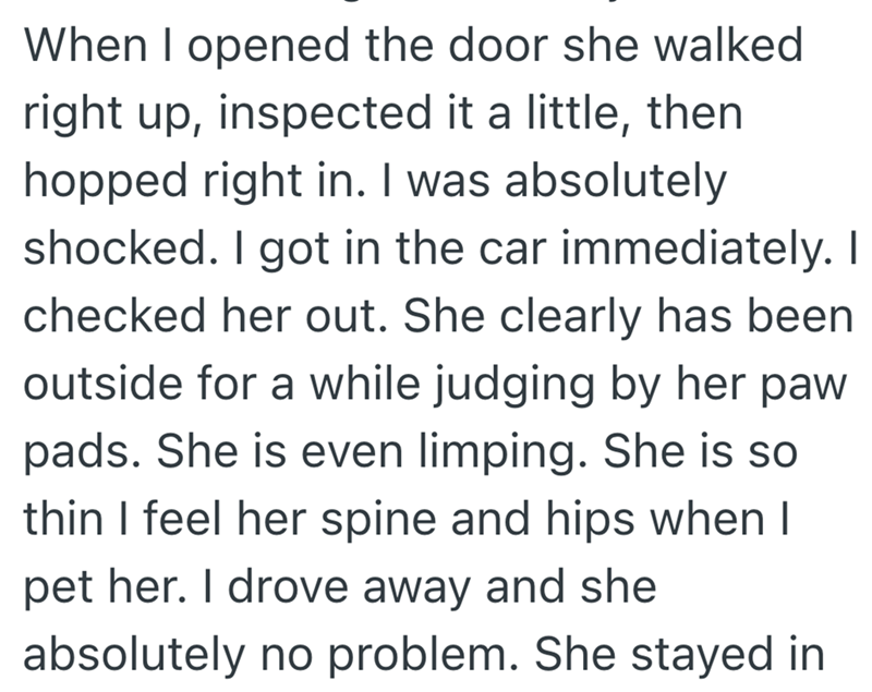 When I opened the door she walked right up, inspected it a little, then hopped right in. I was absolutely shocked. I got in the car immediately. I checked her out. She clearly has been outside for a while judging by her paw pads. She is even limping. She is so thin I feel her spine and hips when I pet her. I drove away and she absolutely no problem. She stayed in