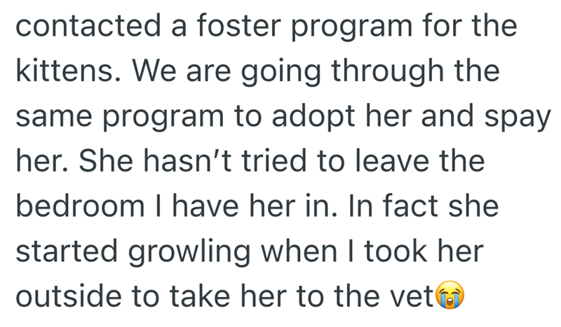 contacted a foster program for the kittens. We are going through the same program to adopt her and spay her. She hasn't tried to leave the bedroom I have her in. In fact she started growling when I took her outside to take her to the vet