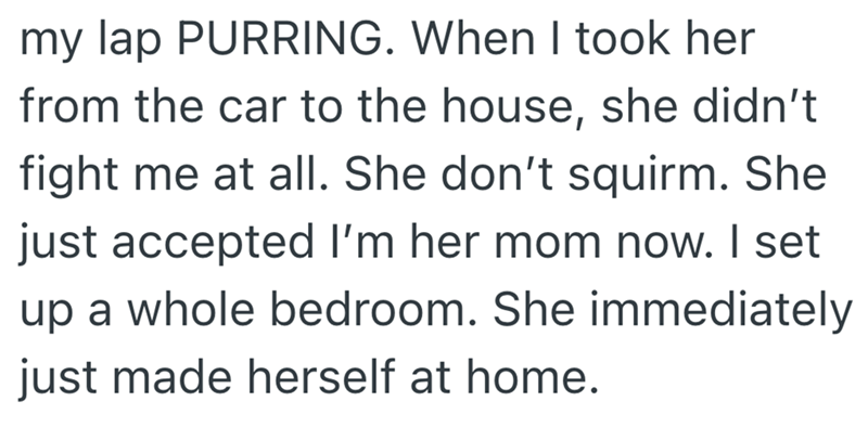 my lap PURRING. When I took her from the car to the house, she didn't fight me at all. She don't squirm. She just accepted I'm her mom now. I set up a whole bedroom. She immediately just made herself at home.