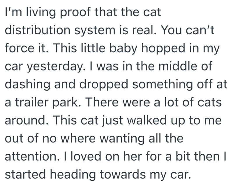 I'm living proof that the cat distribution system is real. You can't force it. This little baby hopped in my car yesterday. I was in the middle of dashing and dropped something off at a trailer park. There were a lot of cats around. This cat just walked up to me out of no where wanting all the attention. I loved on her for a bit then I started heading towards my car.