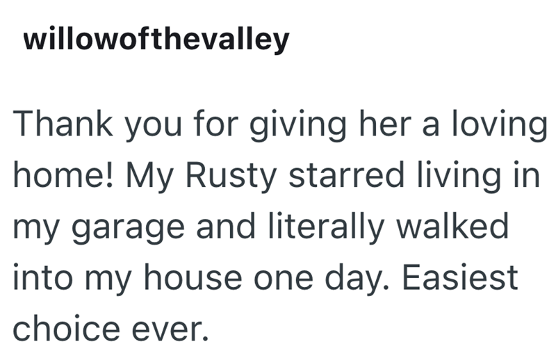 willowofthevalley Thank you for giving her a loving home! My Rusty starred living in my garage and literally walked into my house one day. Easiest choice ever.