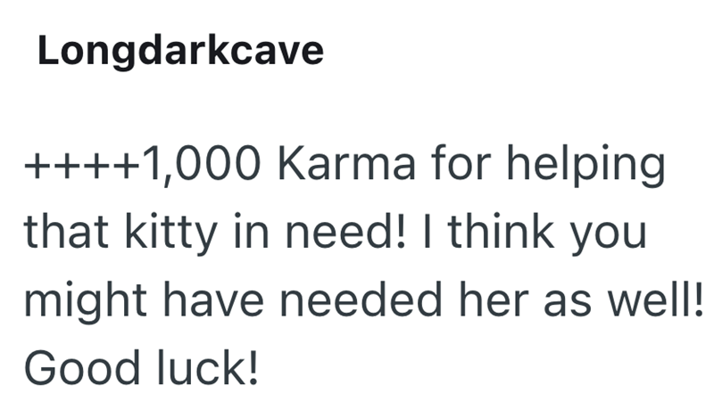 Longdarkcave ++++1,000 Karma for helping that kitty in need! I think you might have needed her as well! Good luck!