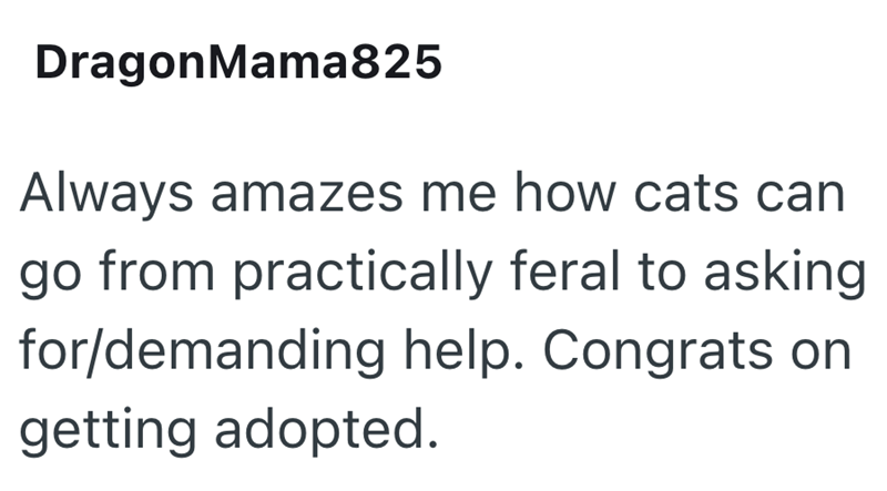 DragonMama825 Always amazes me how cats can go from practically feral to asking for/demanding help. Congrats on getting adopted.