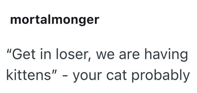 mortalmonger "Get in loser, we are having kittens" - your cat probably