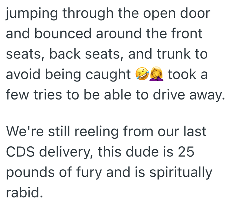 jumping through the open door and bounced around the front seats, back seats, and trunk to avoid being caught took a few tries to be able to drive away. We're still reeling from our last CDS delivery, this dude is 25 pounds of fury and is spiritually rabid.