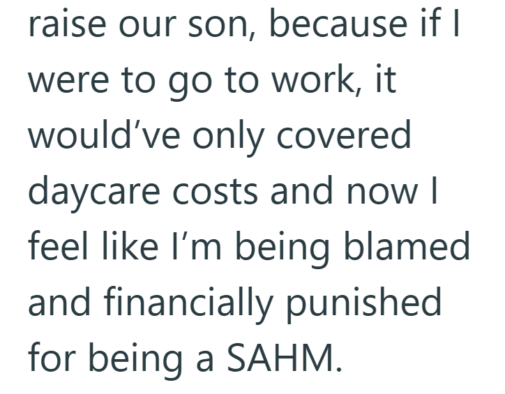 raise our son, because if I were to go to work, it would've only covered daycare costs and now I feel like I'm being blamed and financially punished for being a SAHM.