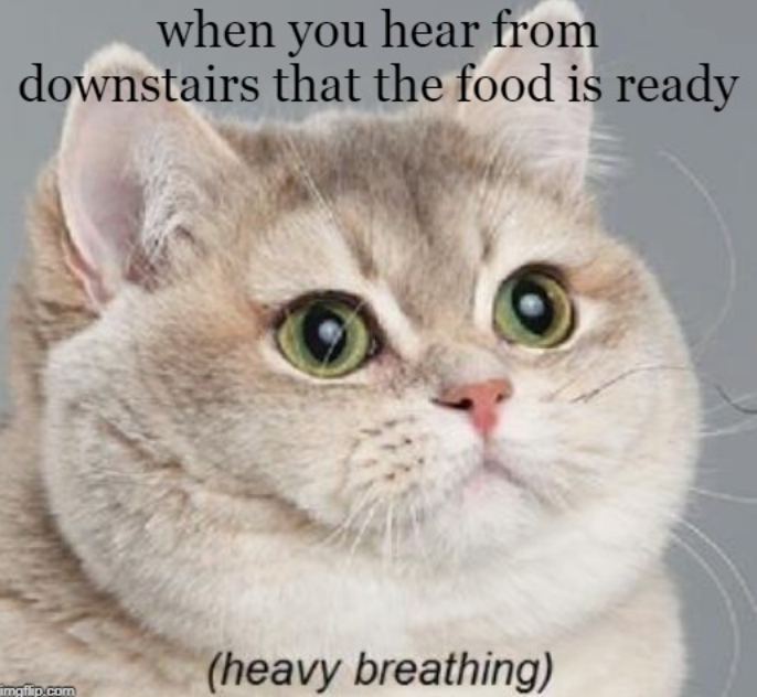 when you hear from downstairs that the food is ready imgflip.com (heavy breathing)