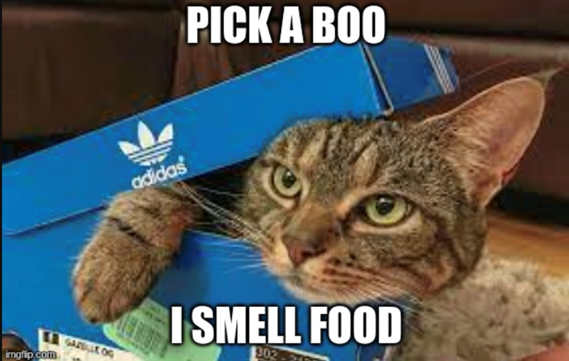 GALLE OG imgflip.com adidas PICK A BOO I SMELL FOOD 302