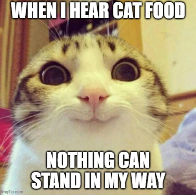 WHEN I HEAR CAT FOOD imgflip.com NOTHING CAN STAND IN MY WAY