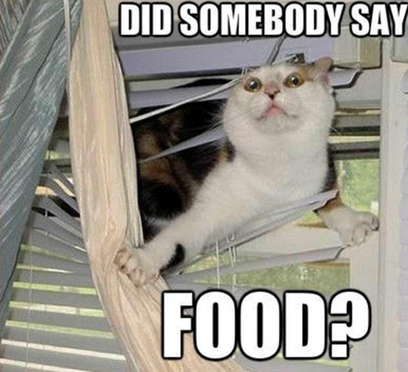 DID SOMEBODY SAY FOOD?