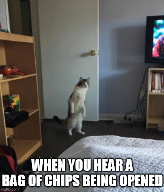 WHEN YOU HEAR A BAG OF CHIPS BEING OPENED imgflip.com