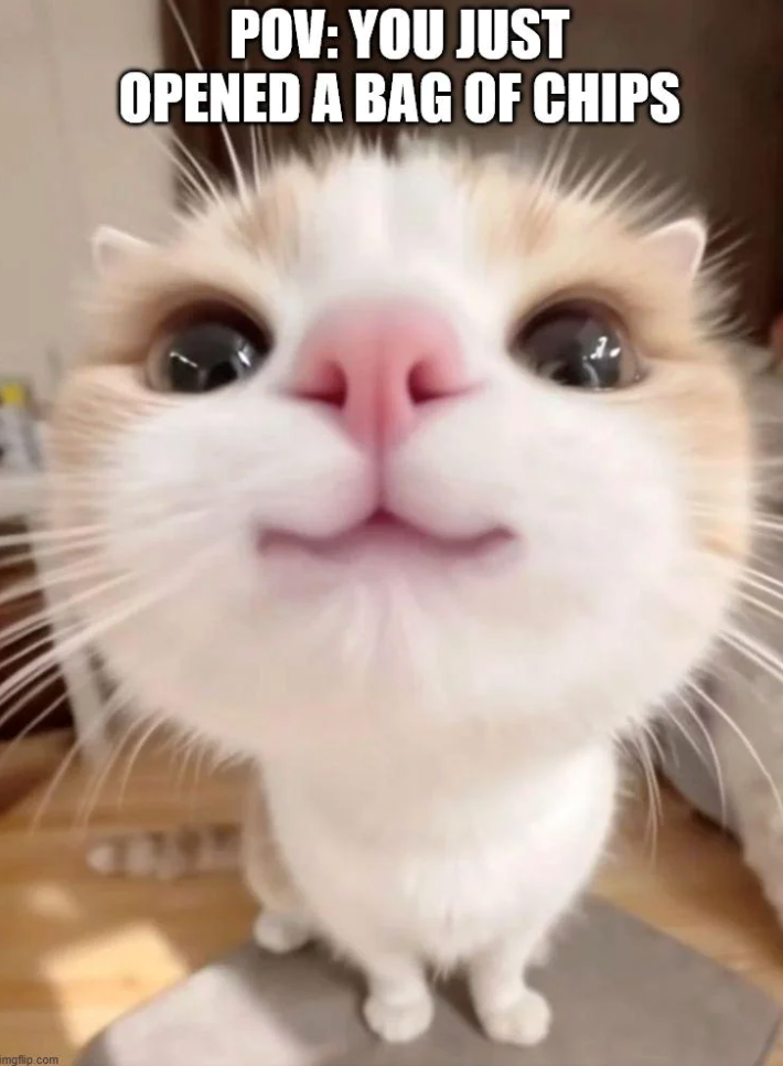 imgflip.com POV: YOU JUST OPENED A BAG OF CHIPS