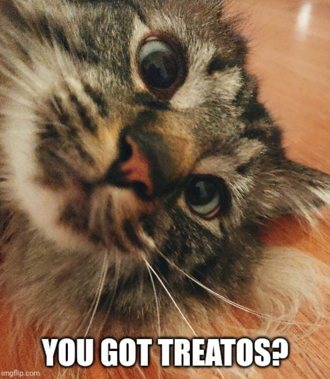 imgflip.com YOU GOT TREATOS?