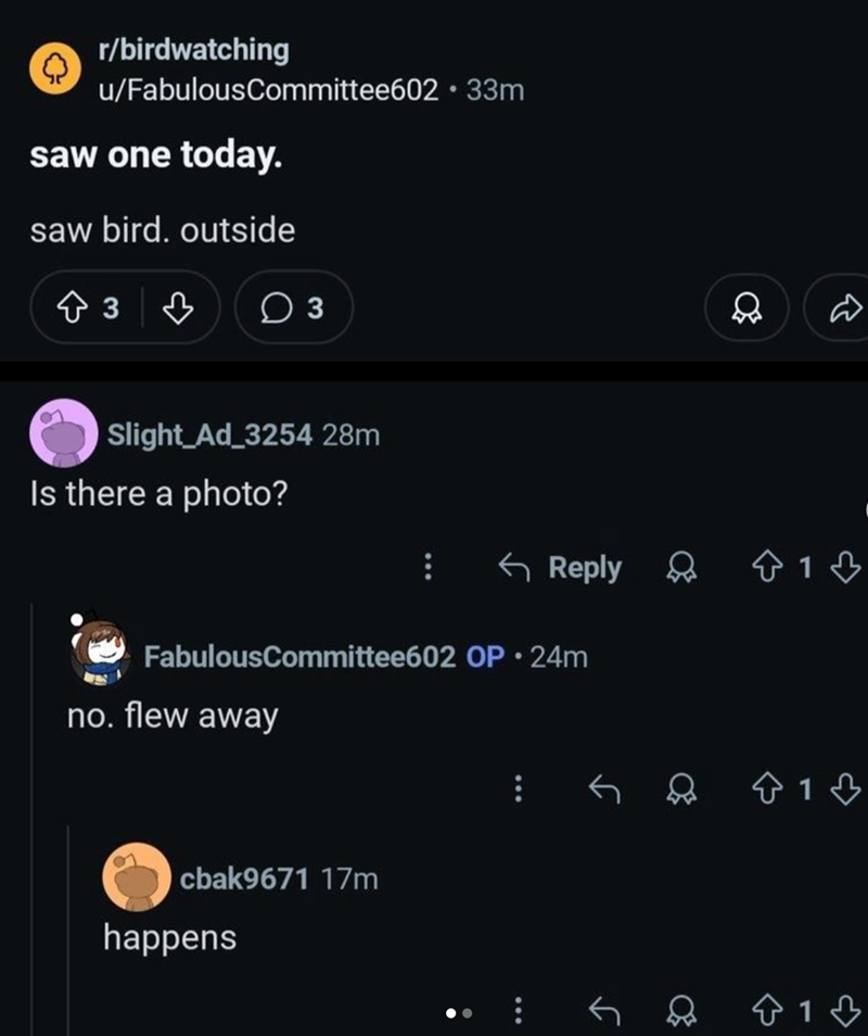 r/birdwatching u/FabulousCommittee602 • 33m saw one today. saw bird. outside 3 3♡ ○ 3 D Q Slight Ad_3254 28m Is there a photo? Reply 13 FabulousCommittee602 OP • 24m no. flew away cbak9671 17m happens ← 813 J 813