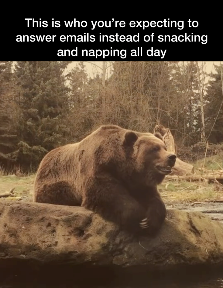 This is who you're expecting to answer emails instead of snacking and napping all day
