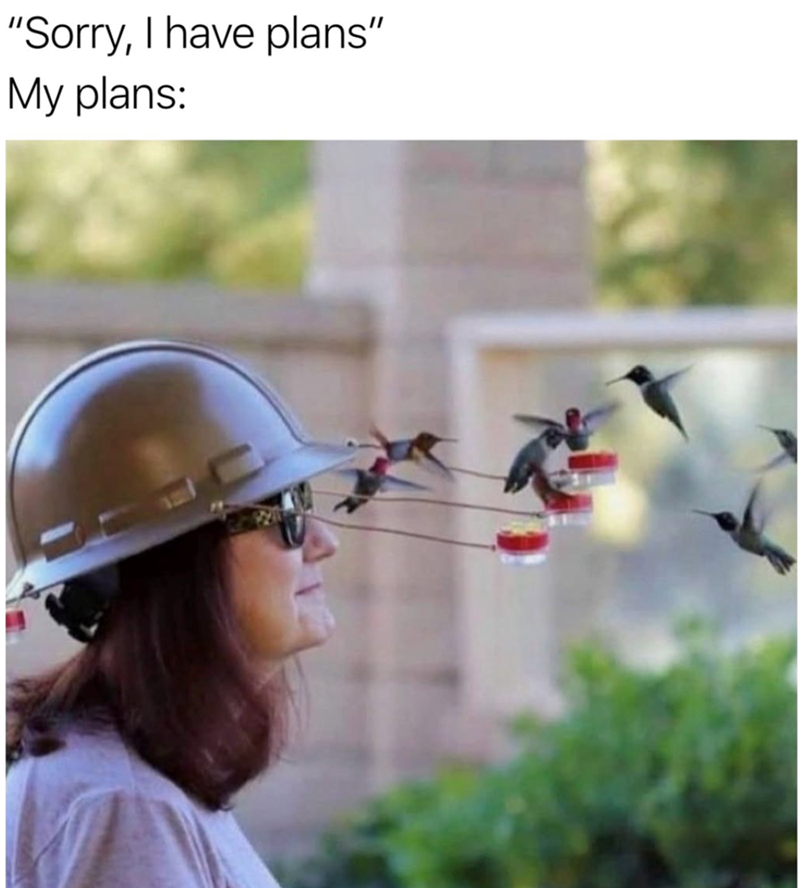 "Sorry, I have plans" My plans: