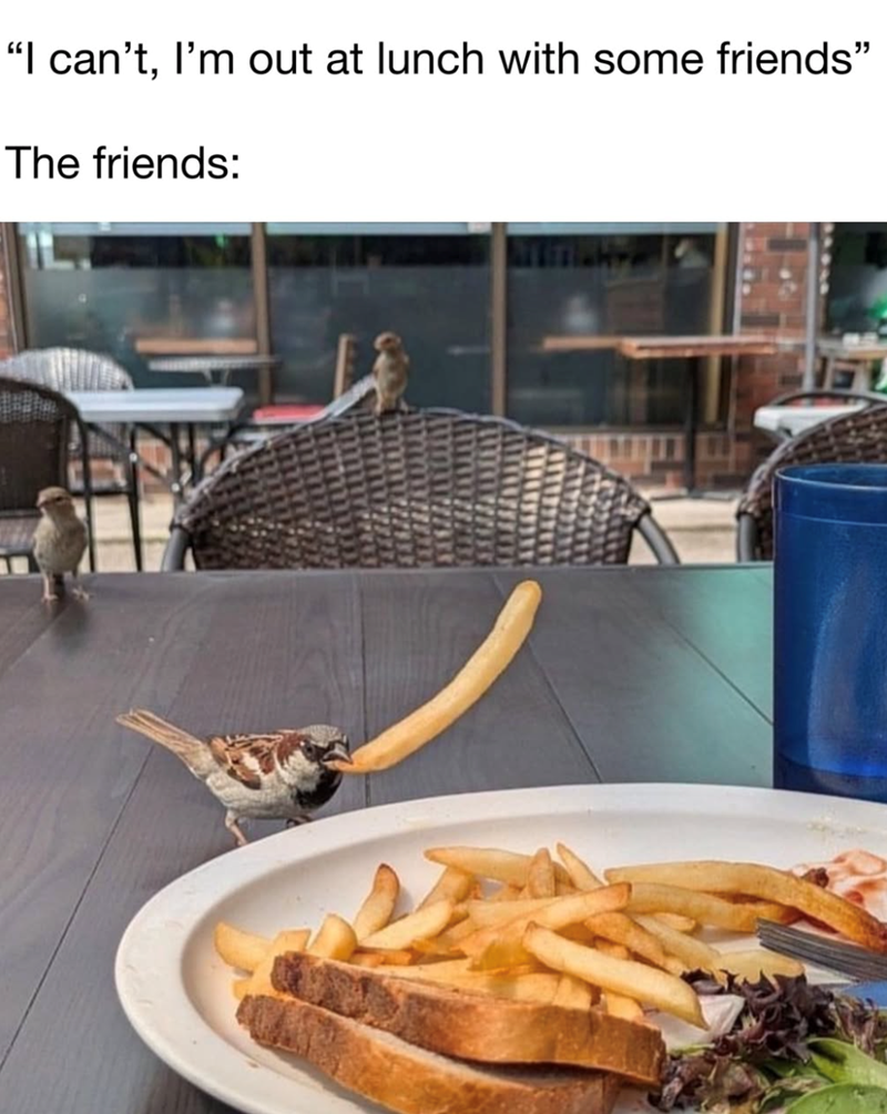 "I can't, I'm out at lunch with some friends" The friends: