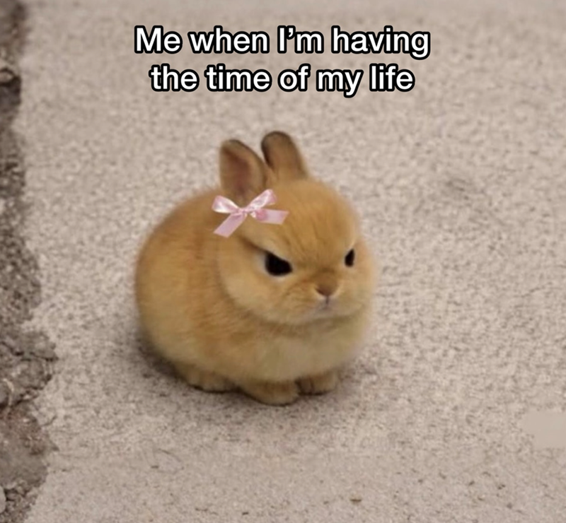 Me when I'm having the time of my life