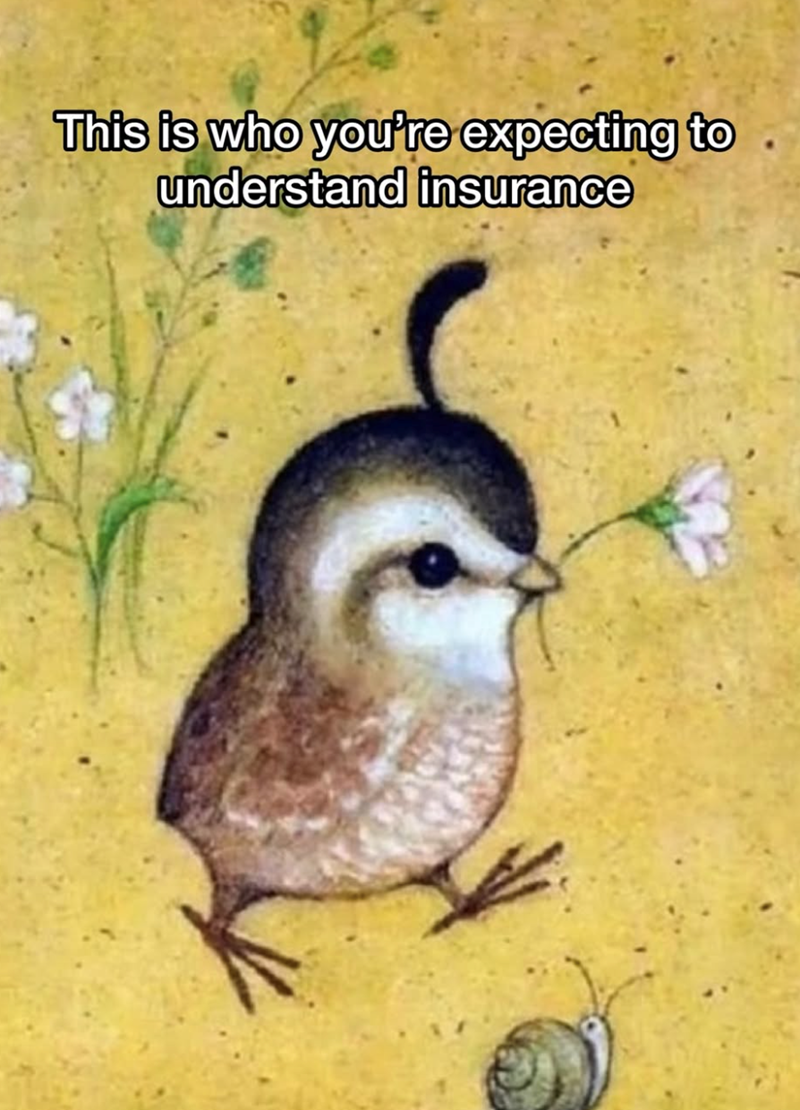 This is who you're expecting to understand insurance