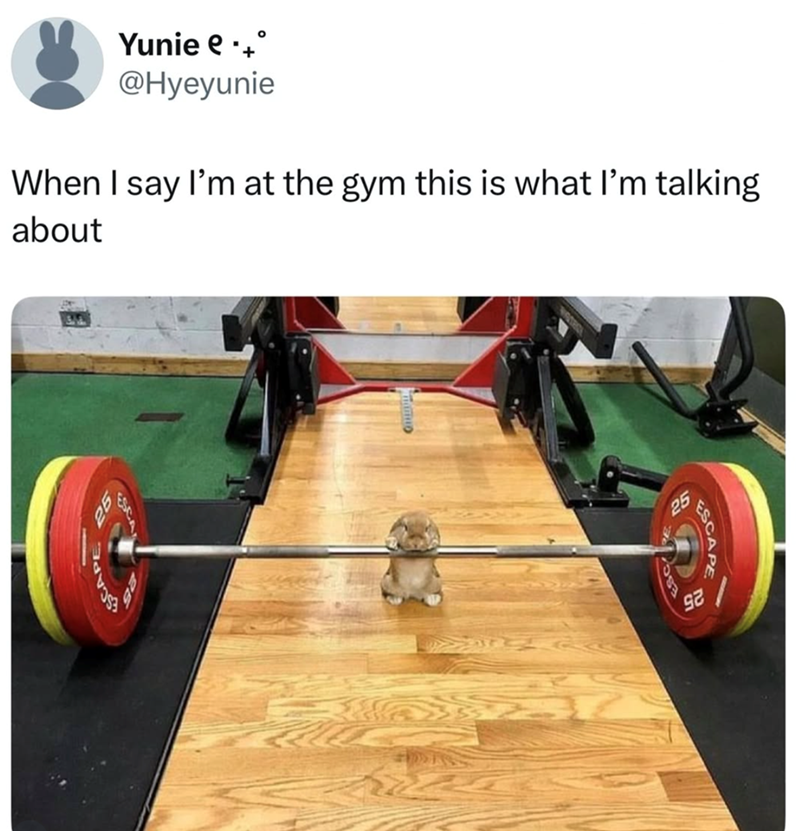 Yunie e @Hyeyunie When I say I'm at the gym this is what I'm talking about ESC 92 ESCAPE